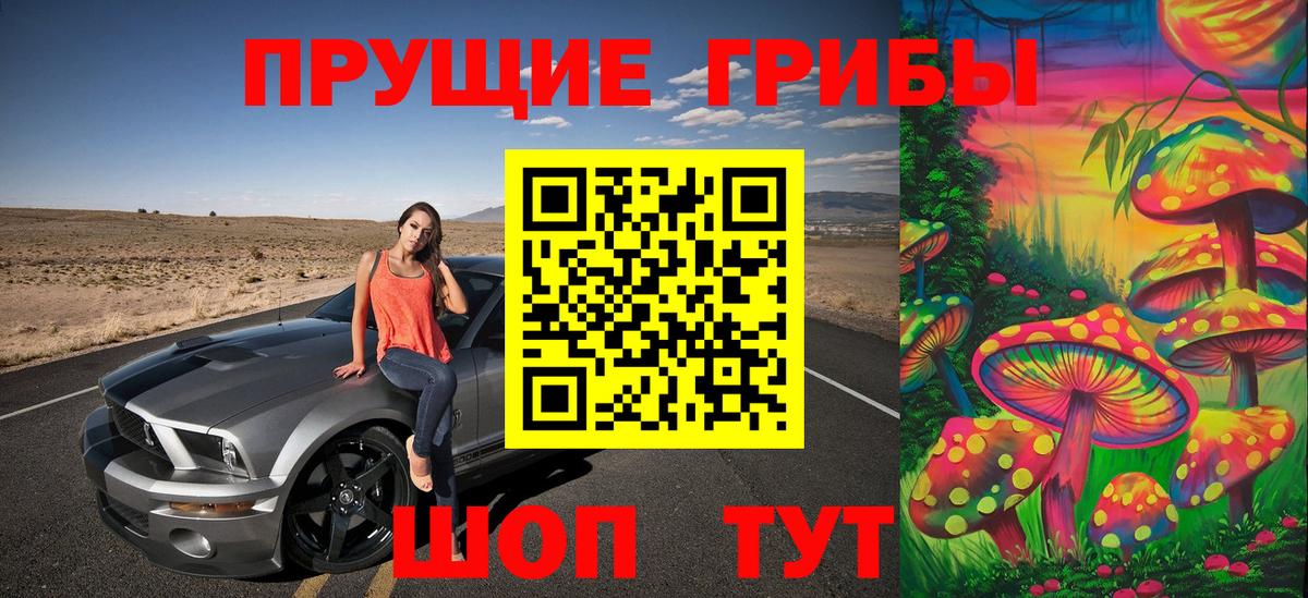 Мурино  Галлюциногенные грибы Psilocybe  Вход с VPN 