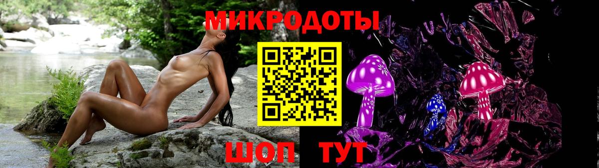 Псилоцибиновые грибы Magic Shrooms Мурино